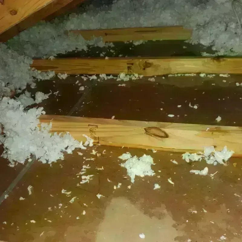 Attic Water Damage in Richland County, ND