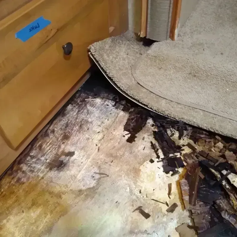 Wood Floor Water Damage in Richland County, ND